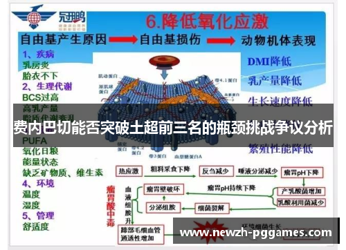 费内巴切能否突破土超前三名的瓶颈挑战争议分析