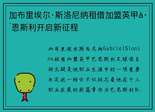 加布里埃尔·斯洛尼纳租借加盟英甲巴恩斯利开启新征程